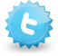 Twitter Icon